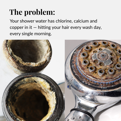 The Filtered Showerhead by Ella