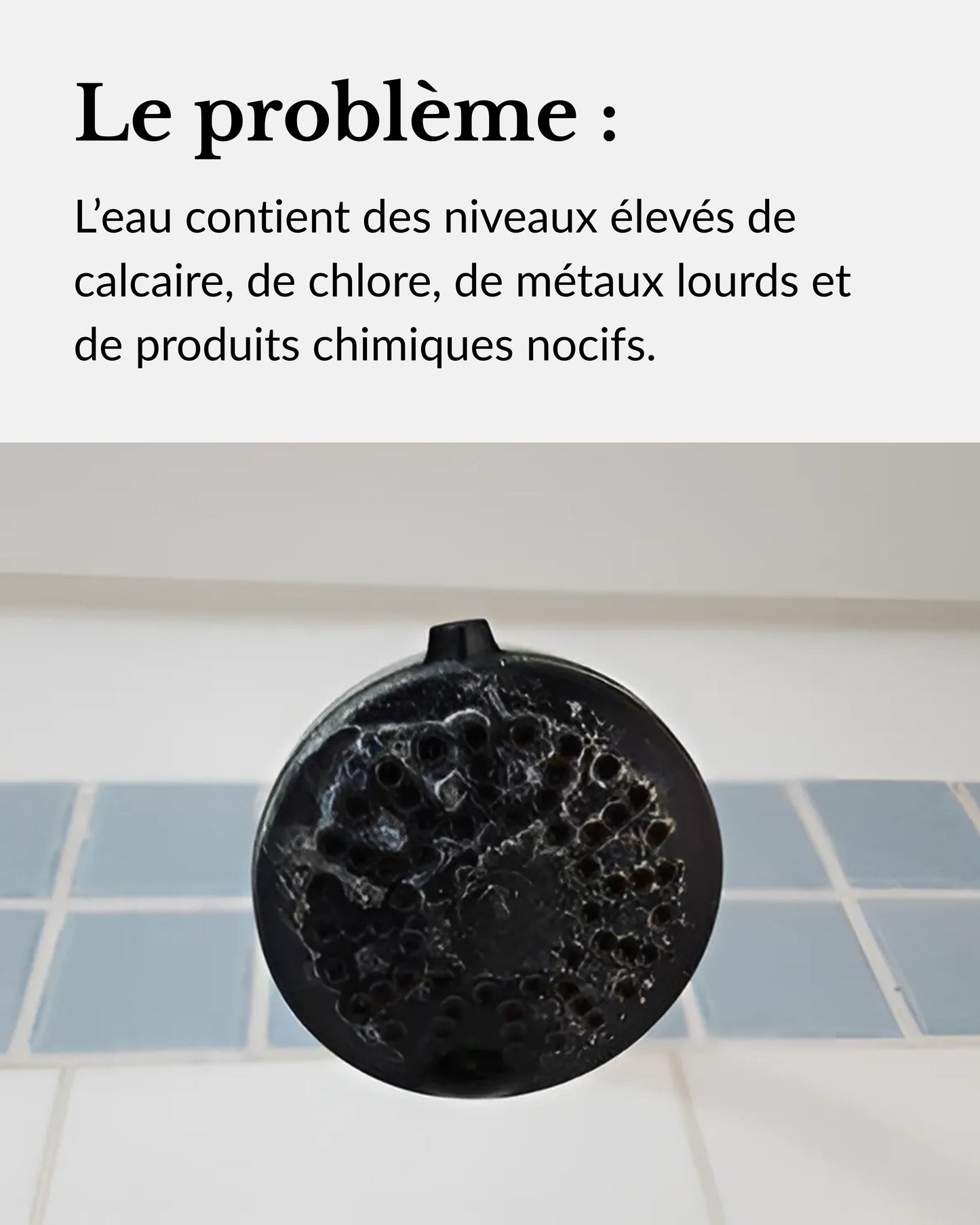 Pommeau de Douche Filtrant
