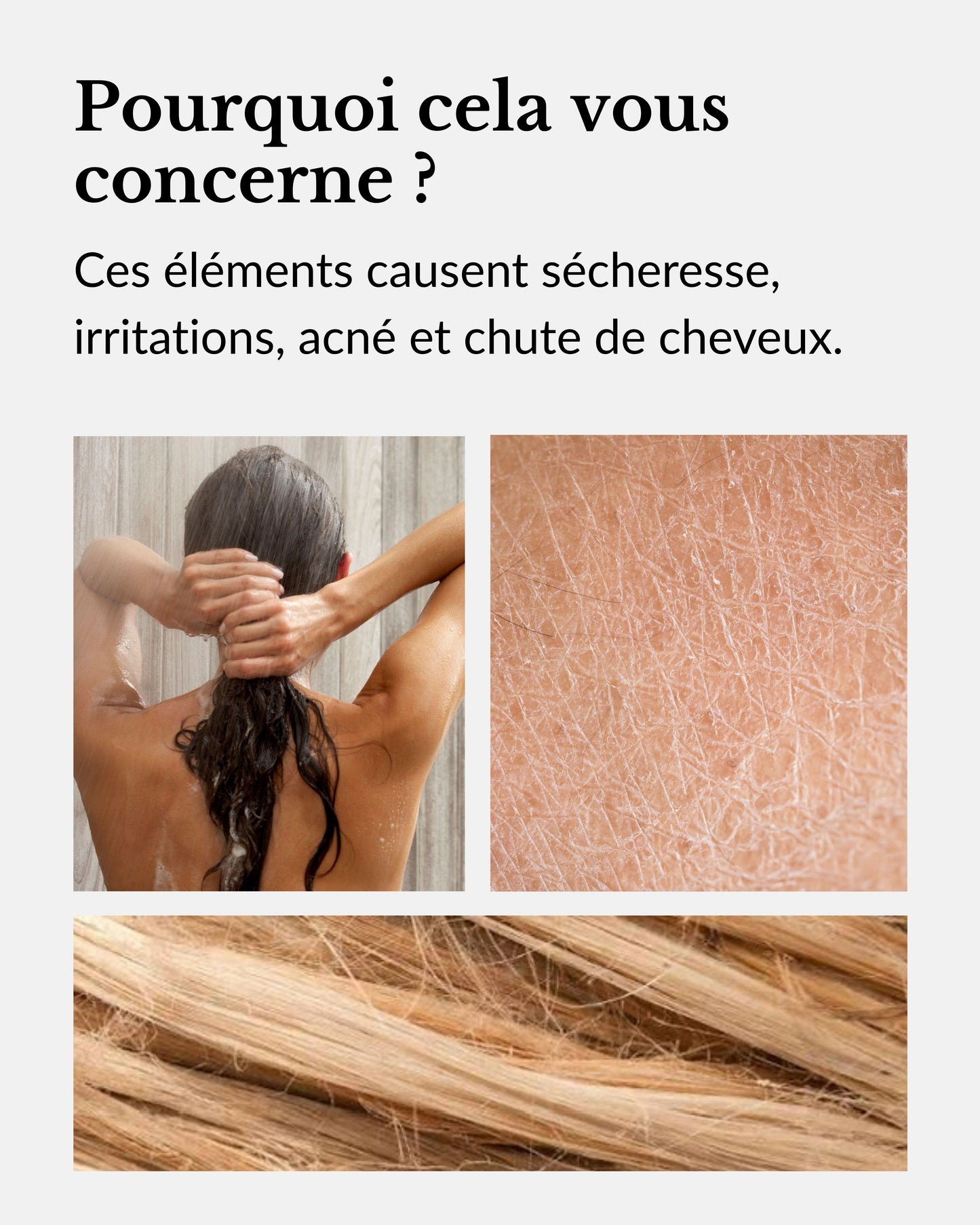 Pommeau de Douche Filtrant
