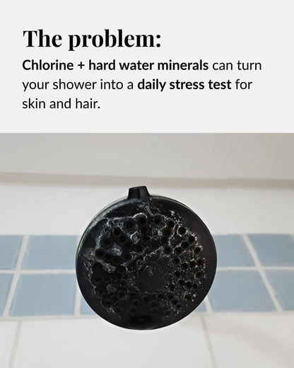 Filtered Showerhead